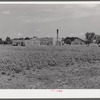 Land is so valuable in the Mississippi Delta that cotton is planted practically up to the doorsteps of schools and banks. Near Clarksdale, Mississippi.