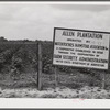 Allen Plantation operated by Natchitoches farmstead association, a cooperative established through the cooperation of the FSA (Farm Security Administration). Louisiana