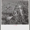 Son of member of Allen Plantation cooperative association resting after hoeing cotton. Near Natchitoches, Louisiana