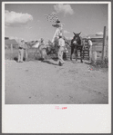 Members of the Terrebonne Project, Schriever, Louisiana, taking the mules from the barn out to the field after the noon hour