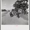 Members of the Terrebonne Project, Schriever, Louisiana, taking the mules from the barn out to the field after the noon hour