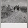 Members of the Terrebonne Project, Schriever, Louisiana, taking the mules back to the barns in the evening after work in the fields