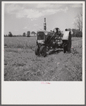 Member of Allen Plantation cooperative association running tractor near Natchitoches, Louisiana