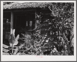 Melrose, Natchitoches Parish, Louisiana. One of cabins built by [multiracial people] on John Henry cotton plantation. It was originally the kitchen to the big house, later the blacksmith shop. Built and owned by Metoyier and sold to J.H. Henry in 1833