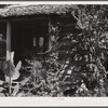 Melrose, Natchitoches Parish, Louisiana. One of cabins built by [multiracial people] on John Henry cotton plantation. It was originally the kitchen to the big house, later the blacksmith shop. Built and owned by Metoyier and sold to J.H. Henry in 1833