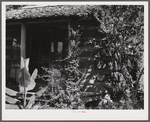 Melrose, Natchitoches Parish, Louisiana. One of cabins built by [multiracial people] on John Henry cotton plantation. It was originally the kitchen to the big house, later the blacksmith shop. Built and owned by Metoyier and sold to J.H. Henry in 1833