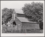 Melrose, Natchitoches Parish, Louisiana. "Trinity" barn by home [of multiracial people] in cotton plantation area