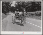 Returning home from town on Saturday afternoon in buggy. Near Port Gibson, Mississippi