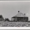 Melrose, Natchitoches Parish, Louisiana. Old home on cotton plantation, originally built and owned and still occupied (rented) by [multiracial] family