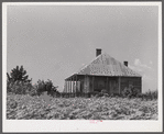 Melrose, Natchitoches Parish, Louisiana. Old home on cotton plantation, originally built and owned and still occupied (rented) by [multiracial] family