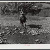 Mountain woman and child travel almost entirely by horseback as the creek beds are still the only roads in some sections. They live up Burton's Fork off Middle Fork of the Kentucky River. Breathitt County, Kentucky.