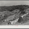General landscape near Hyden, Kentucky showing mountain cabins, sheds and cornfields.