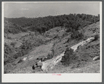 General landscape near Hyden, Kentucky showing mountain cabins, sheds and cornfields.