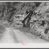 Mountain families in Kentucky "raise" their own coal in the back yard along roadsides. Up Morris Fork of Kentucky River.