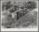 Mountain families in Kentucky "raise" their own coal in the back yard along roadsides. Up Morris Fork of Kentucky River.