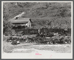 Kennel coal "raised" by mountaineer in the hill back of his home for winter fuel. Breathitt County, Kentucky.