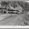 Mountain families in Kentucky "raise" their own coal in the back yard along roadsides. Up Morris Fork of Kentucky River.