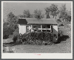 Mountain family's home near Buckhorn, Kentucky.