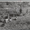 Homebuilt boiler pit made of mud and rocks where the sap from the sorghum cane is boiled down to the syrup. The man who does the cooking goes from one farm house to another and takes a share of the syrup for his work at the different mountaineers' homes