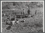 Homebuilt boiler pit made of mud and rocks where the sap from the sorghum cane is boiled down to the syrup. The man who does the cooking goes from one farm house to another and takes a share of the syrup for his work at the different mountaineers' homes