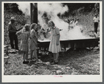 In the early fall during "syrupping off" time many of the children stay home from school to eat the freshly boiled down sorghum cane syrup. The cook usually goes to the various farms in the neighborhood and for his work takes a share of the syrup. On the