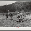 Mountaineer's son with mule and sled which hauled the wood across the creek to be used in boiling down the sorghum cane sap into syrup. On the highway between Jackson and Campton, Kentucky.