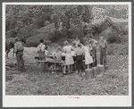 In the early fall during "syrupping off" time many children stay home from school to eat the freshly boiled down sorghum cane syrup. The cook usually goes to the various farms in the neighborhood and for his work takes a share of the syrup. On the highway