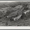 General landscape near Hyden, Kentucky showing mountain cabins, sheds and cornfields.