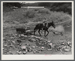 Mountaineer's son hauling wood across the creek with a mule and sled. It is to be used in boiling down the sorghum cane sap into syrup. On the highway between Jackson and Campton, Kentucky.