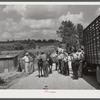 Farmers trading mules and horses on "Jockey Street" in Campton, Kentucky.