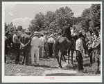 Farmers trading mules and horses on "Jockey Street" in Campton, Kentucky.