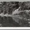 Mountaineer riding on muleback up a creek bed to his farm. Breathitt County, Kentucky.