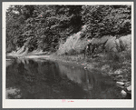 Mountaineer riding on muleback up a creek bed to his farm. Breathitt County, Kentucky.