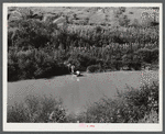 Crossing the creek in a boat from the main road to their home after returning from the store with groceries and supplies. Breathitt County, Kentucky.