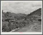 Carloads of coal in mining section near Hazard, Kentucky.