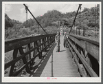 Miners' children crossing swinging bridge from their homes into town. Hazard, Kentucky.