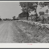 Old stone wall with tobacco and tobacco barn in bluegrass region near Lexington, Kentucky.