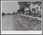 Old stone wall with tobacco and tobacco barn in bluegrass region near Lexington, Kentucky.