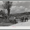 Farmers trading mules and horses on "Jockey Street" in Campton, Kentucky.