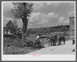 Farmers trading mules and horses on "Jockey Street" in Campton, Kentucky.