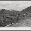 Coal cars near Chavies, Kentucky.