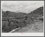 Coal cars near Chavies, Kentucky.