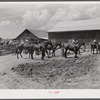 King and Anderson Plantation. Clarksdale, Mississippi Delta, Mississippi.