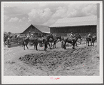 King and Anderson Plantation. Clarksdale, Mississippi Delta, Mississippi.