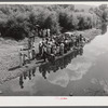 Members of the Primitive Baptist Church in Morehead, Kentucky, attending a creek baptizing by submersion.