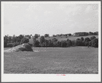 Farm scene. Oldham County, Kentucky.