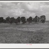 General view of Russell Spear's farm near Lexington, Kentucky.