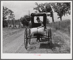 Farmer taking home sack of feed on the back of his buggy. Saturday afternoon near Lexington, Kentucky.