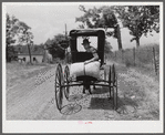 Farmer taking home sack of feed on the back of his buggy. Saturday afternoon near Lexington, Kentucky.