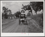 Farmer taking home sack of feed on the back of his buggy. Saturday afternoon near Lexington, Kentucky.